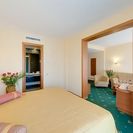 Hotel Palas Hotel