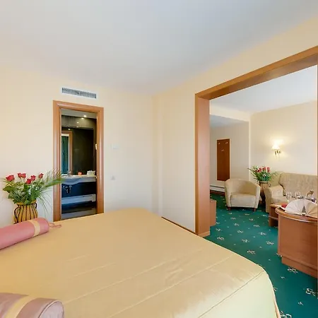 Hotel Palas Hotel