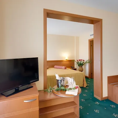 호텔 Hotel Palas 4*